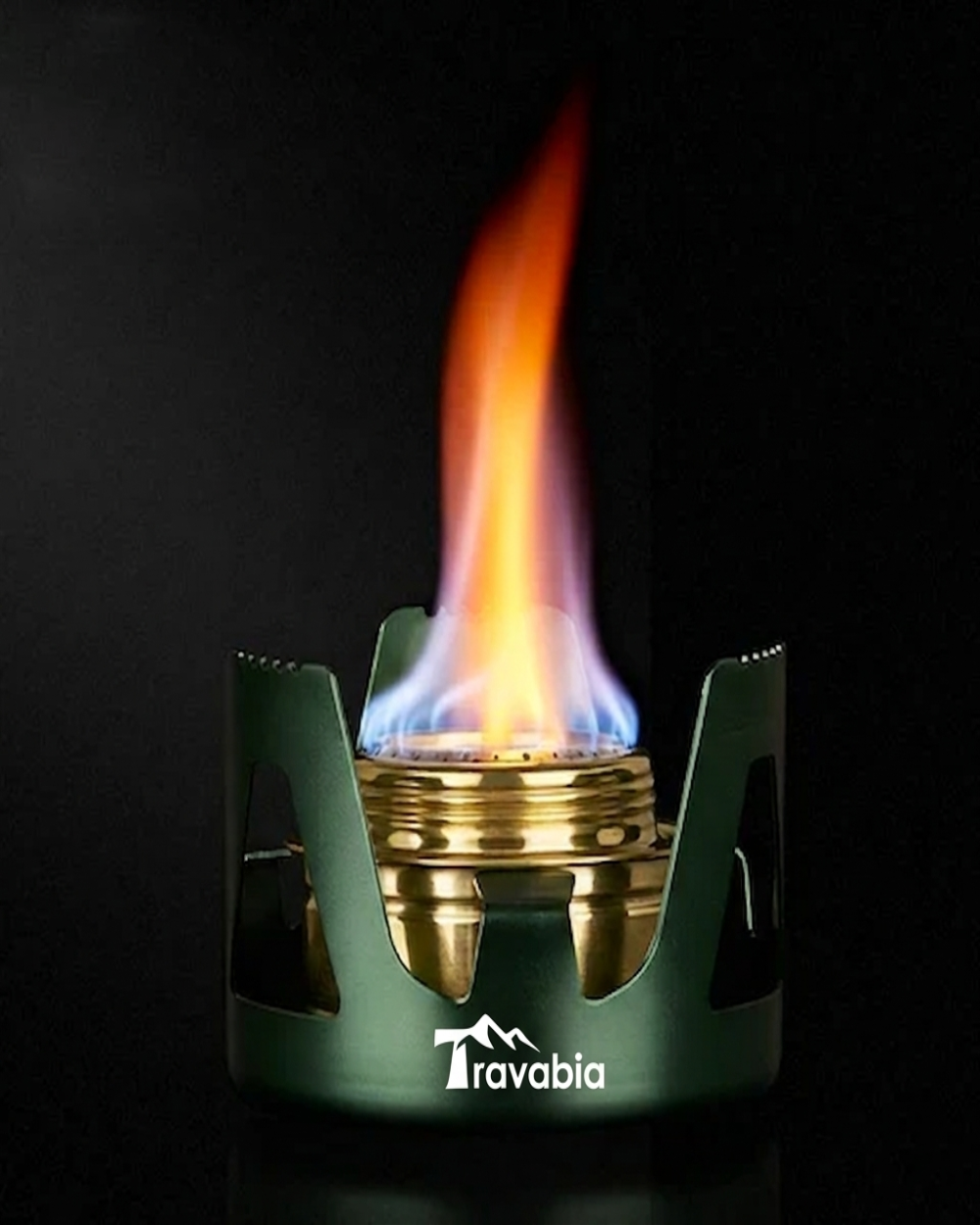 Stainless Steel Camping Alcohol Stove Portable Cooking Stove